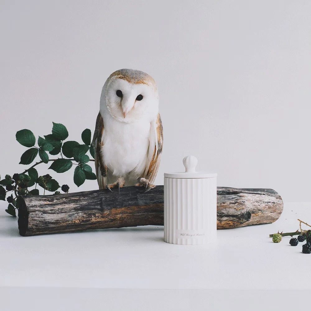 Wild Berry & Bramble Townhouse Scented Candle