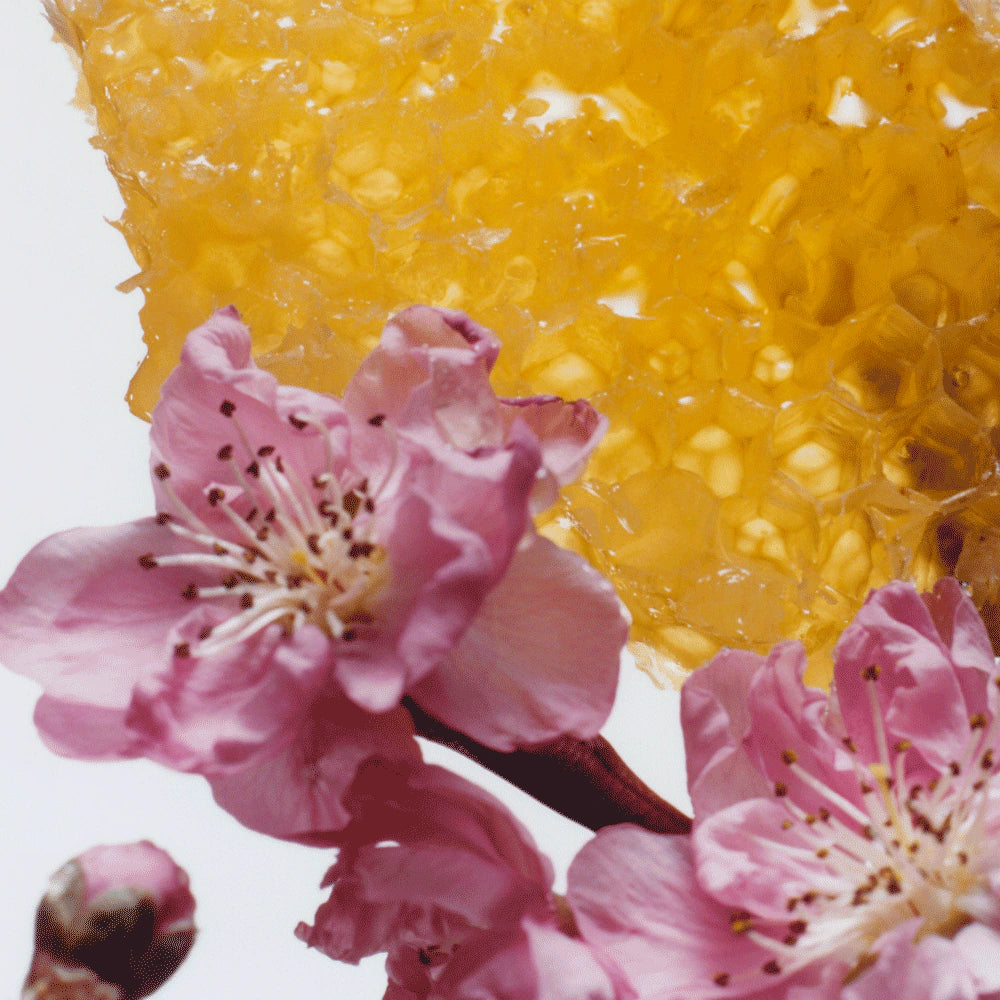 Nectarine Blossom & Honey Scented Candle