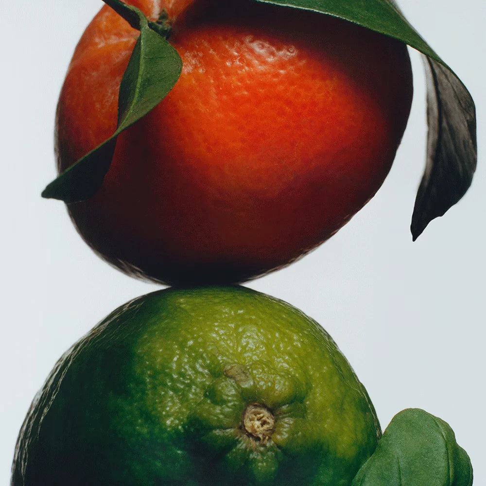 Lime Basil & Mandarin Outdoor Candle