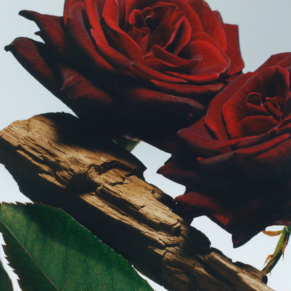 Velvet Rose & Oud Body Crème