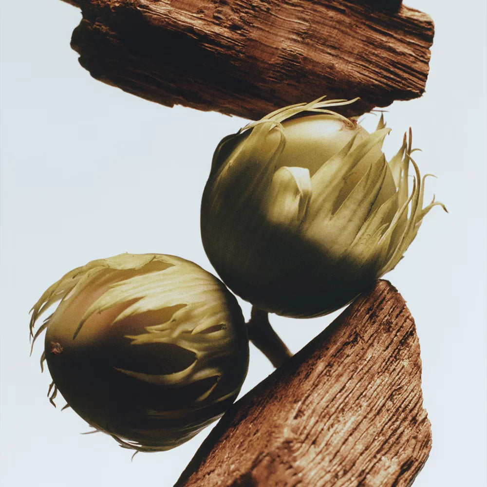 English Oak & Hazelnut Body & Wash