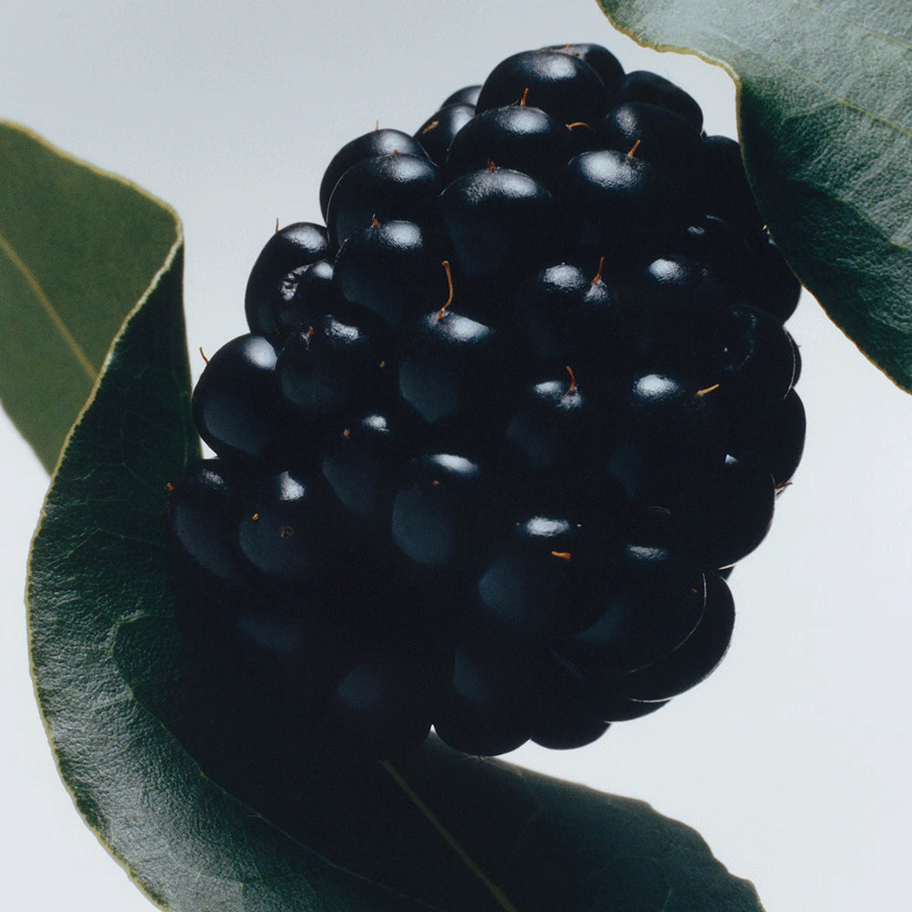 Blackberry & Bay Reed Diffuser